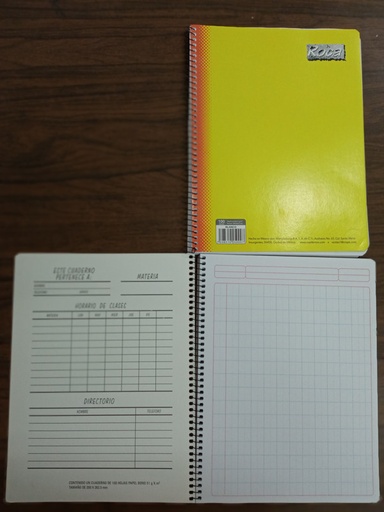 LIBRETA PROFESIONAL C14 ROCA 100H