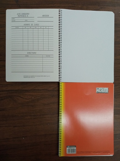 LIBRETA PROFESIONAL BL ROCA 100H